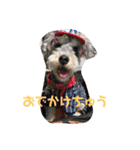 天真爛漫な天心くん（個別スタンプ：22）