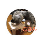天真爛漫な天心くん（個別スタンプ：24）