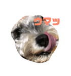 天真爛漫な天心くん（個別スタンプ：25）