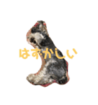 天真爛漫な天心くん（個別スタンプ：35）