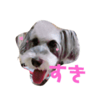 天真爛漫な天心くん（個別スタンプ：39）