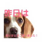 おクゥーちゃん。2（個別スタンプ：5）