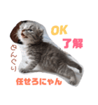 どんぐりとこのみと…（個別スタンプ：2）