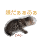 どんぐりとこのみと…（個別スタンプ：4）