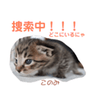 どんぐりとこのみと…（個別スタンプ：6）