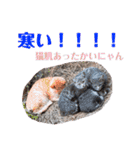 どんぐりとこのみと…（個別スタンプ：14）