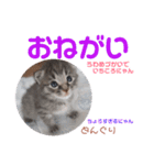 どんぐりとこのみと…（個別スタンプ：18）