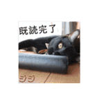 どんぐりとこのみと…（個別スタンプ：22）