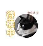 どんぐりとこのみと…（個別スタンプ：23）