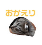 どんぐりとこのみと…（個別スタンプ：27）
