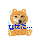 ゴン太さん②（個別スタンプ：2）