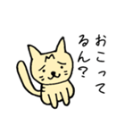 トラネコ 関西弁（個別スタンプ：5）