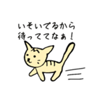 トラネコ 関西弁（個別スタンプ：26）
