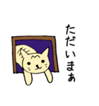トラネコ 関西弁（個別スタンプ：32）