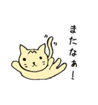 トラネコ 関西弁（個別スタンプ：40）
