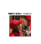 DOG FORCE 5チワワ➕ワン（個別スタンプ：16）