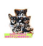 DOG FORCE 5チワワ➕ワン（個別スタンプ：24）