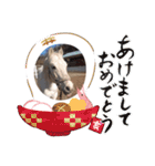 シーロードのスタンプ（個別スタンプ：3）