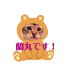 蘭丸の一日（個別スタンプ：14）