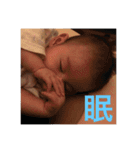 叶1（個別スタンプ：3）