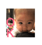 叶1（個別スタンプ：5）