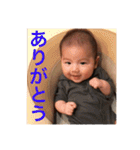 叶1（個別スタンプ：16）