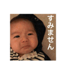 叶1（個別スタンプ：24）