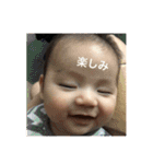 叶1（個別スタンプ：25）