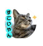 心の友ネコ「にゃかの先生」withふれんず（個別スタンプ：5）