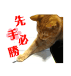 心の友ネコ「にゃかの先生」withふれんず（個別スタンプ：6）