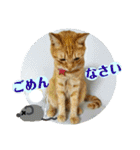 心の友ネコ「にゃかの先生」withふれんず（個別スタンプ：11）