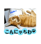 心の友ネコ「にゃかの先生」withふれんず（個別スタンプ：13）