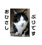 心の友ネコ「にゃかの先生」withふれんず（個別スタンプ：14）