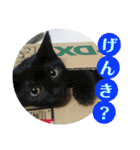 心の友ネコ「にゃかの先生」withふれんず（個別スタンプ：16）