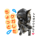 心の友ネコ「にゃかの先生」withふれんず（個別スタンプ：17）