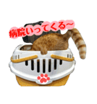 心の友ネコ「にゃかの先生」withふれんず（個別スタンプ：18）