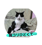 心の友ネコ「にゃかの先生」withふれんず（個別スタンプ：19）
