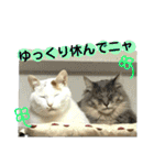 心の友ネコ「にゃかの先生」withふれんず（個別スタンプ：24）