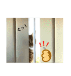 心の友ネコ「にゃかの先生」withふれんず（個別スタンプ：27）