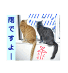 心の友ネコ「にゃかの先生」withふれんず（個別スタンプ：29）