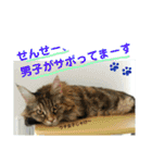 心の友ネコ「にゃかの先生」withふれんず（個別スタンプ：30）