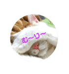 心の友ネコ「にゃかの先生」withふれんず（個別スタンプ：33）