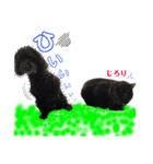 黒犬＆黒猫（個別スタンプ：2）