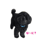 黒犬＆黒猫（個別スタンプ：7）