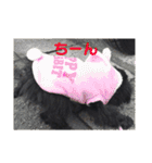 黒犬＆黒猫（個別スタンプ：8）