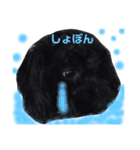 黒犬＆黒猫（個別スタンプ：10）