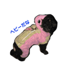 黒犬＆黒猫（個別スタンプ：13）