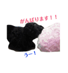 黒犬＆黒猫（個別スタンプ：14）