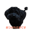 黒犬＆黒猫（個別スタンプ：16）