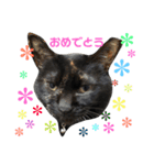 黒犬＆黒猫（個別スタンプ：30）